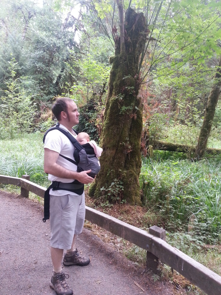 babywearing hiking