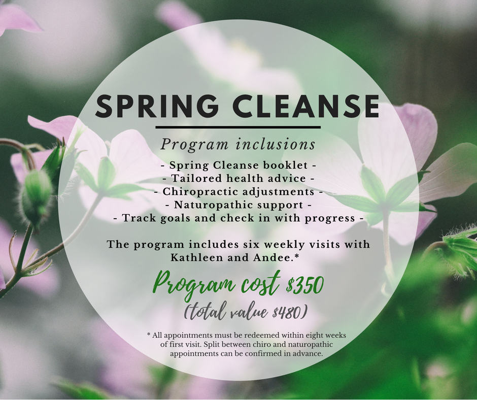 spring-cleanse-program-details